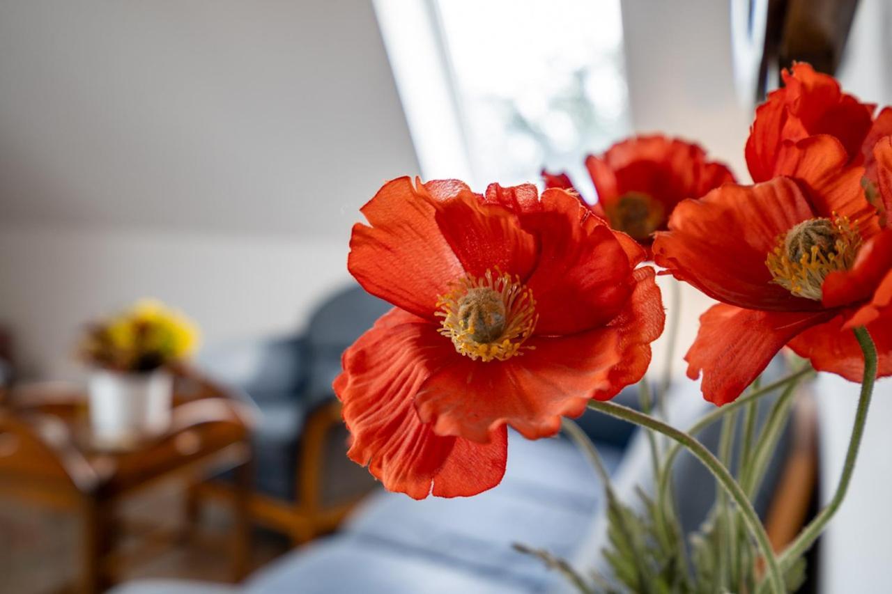 Apartament Uferpromenade Whg Og Röbel Zewnętrze zdjęcie